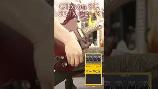 Gibson SG/BOSS OD-1X vs DS-1X🎸#bossod1x #bossds1x #bosspedals #gibsonsg