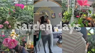 Garden days | homemade pest repellent, garden update and chats, repotting veggies and strawberries