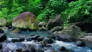 River Echo for Rest and Relaxation - Nature Peace | sleep - relax - enjoy life - ASMR
