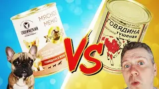 Тушёнка для собак против тушёнки для людей #французскийбульдог #собакиприколы #бульдоги #тушёнка 