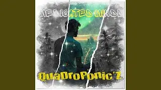 Medicated Minds (feat. SoulDouja)