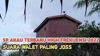 SP Akau High frekuensi Terbaru 2022| Suara Walet viral joss