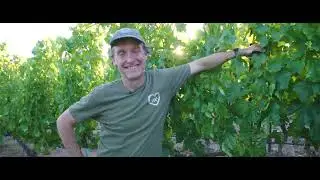 Meet The Maker: Eric Glomski of Page Springs Cellars