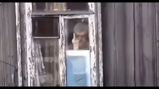 No More Memes #11