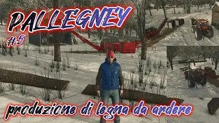PRODUCIAMO LEGNA DA ARDERE! - PALLEGNEY #5 - FS25 #t128 #farmstick #tobiieyetracker5