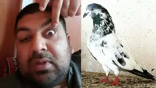 Ustad Baba Sikander New Interview