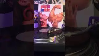 Amor Amor / GRUPO NICHE