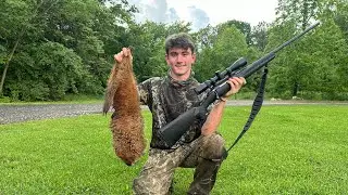 .308 vs groundhog!!!! (Was it to much??)