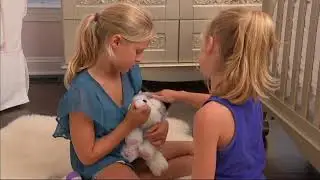 Little Live Pets My Dream Kitten or Husky Animated Plush on QVC