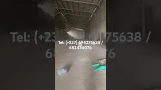 Entrep&ocirc;t &agrave; Bonanjo 35.00 frs/m2/mois