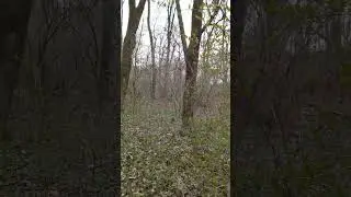 160молитва подорожі 24prayer journey #nature #humor #hunting #piano #animals #humour #classicalmusic