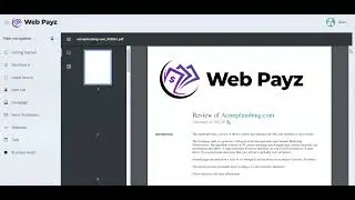 WebPayz Teaser
