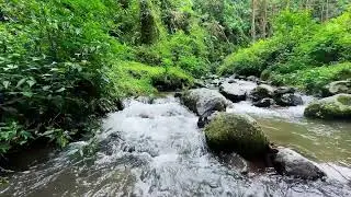Let tension dissolve with natural river flow in a cool mountain creek to support deep restful sleep