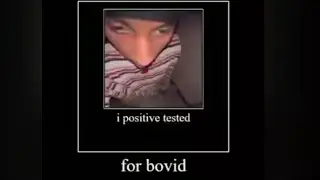 I positive tested for bovid