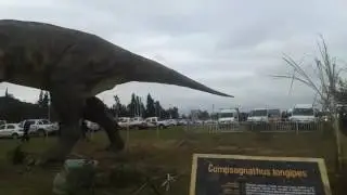 Tecnopolis salta