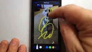 Lasso tool tutorial to move markup objects in photo