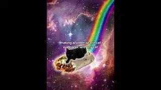 making another space cat wallpaper with my cat #blackcat #rainbowcat #2010sthrowback #wallpaper