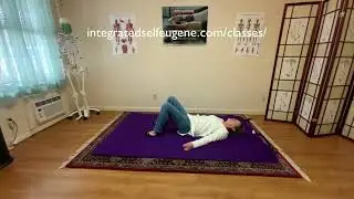 Connecting the Eyes and the Pelvis