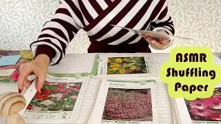 ASMR Paper Sorting & Paper Shuffling (Plant ID Cards) &bull; No Talking