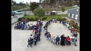 Un año en imágenes 2017