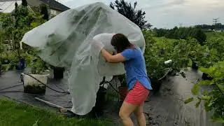 AgFabric Square Plant Cover Review