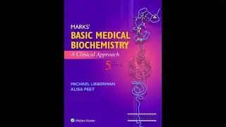 Protein Digestion & Amino Acid Absorption | Chapter 35 - Marks' Basic Medical Biochemistry