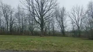 More Kentucky Scenery