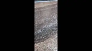 Heavy rain and wind sounds for insomnia ASMR Rain for sleep and relax