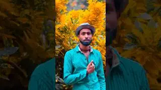Aisa Zakham Diya Hai #shortvideo #viralvideo #tending #musictrends