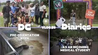 DC Diaries | Bison Olympics and the National Zoo