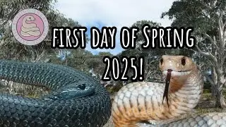 First Day Of Spring 2025. 
