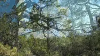 Lot 199 Sunset Ridge Loop