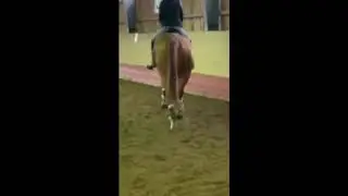 Alladin provridning