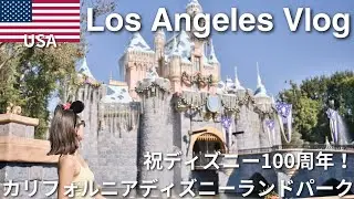 【ディズニー100周年】祝100周年🎊地球上で1番ハッピーな場所、ディズニーランドパークを1日中遊び尽くすvlog #9