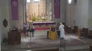 Novena to Our Lady of the Immaculate Conception: Fr. Matt Gill on 