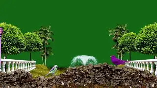 Garden Tree Free Green Screen Background Video Effects hd / Fountain Water Green Screen  Animation