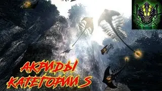 Вселенная Lost Planet||Акриды категории S