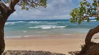Kauai Solo Birthday Adventure travel/hobbies Traveling Solo on a budget.