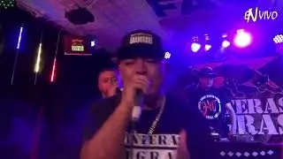 Faqrecord TV - Panteras negras en vivo! - Live Stream Chile
