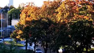 1080p Timelapse || I Feel Good!