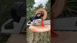 STIHL MS 661 im #woodboss Design 🔥🔥🔥