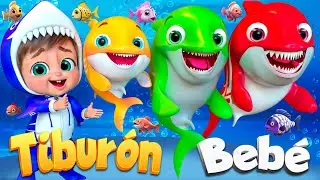 Bebé Tiburón, Los Pollitos Dicen Pio Pio, LA VACA LOLA- Canciones Infantiles #shorts #spain #español