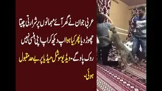 Leopard Attack On Guest in Arab Party funny prank 2 Jan 2019