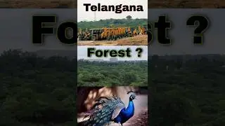 Telangana government Forest Cleared #forest #telanaganews #hydrabad #environment #news
