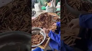 2025-1-14 Cassia cinnamon sticks.#spices #shorts