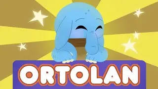 Ortolan | Galactic Pals