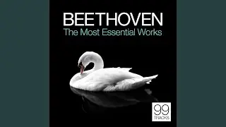 Quintet in E-Flat Major for Piano, Oboe, Clarinet, Horn and Bassoon, Op. 16: III. Rondo:...
