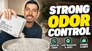 Pidan Tofu Cat Litter Review, Low Dust and Strong Clumps [Test]