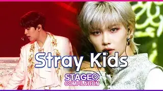 ❤️ 2020 Stray Kids(스트레이키즈) Stage Compilation I KBS WORLD TV