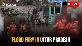LIVE | Flood chaos in UP as Ganga, Yamuna overflow; orange alert in 55 districts | The Federal